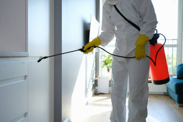 Reliable Moody Af, GA Mold Removal Solutions
